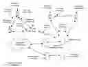 Fig. 01 - Interactive Module With Activity Credit Negotiation Logic