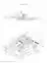 Fig. 02 - Weight balancing type dynamic yawing simulator