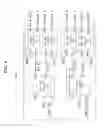 Fig. 07 - Display device, scan driver, and method of manufacturing the same