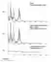 Fig. 05 - Relative excitation features for speech recognition