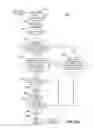 Fig. 16 - Voice assistant system