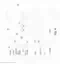 Fig. 09 - Methods and apparatus for sensing a memory cell