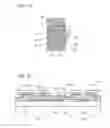 Fig. 08 - Shift register and display device