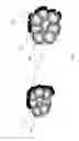 Fig. 04 - CURRENT COLLECTOR, ELECTRODE STRUCTURE, BATTERY AND CAPACITOR