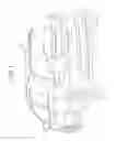 Fig. 02 - Push-button switch device for vehicle