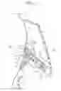 Fig. 12 - Push-button switch device for vehicle