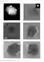 Fig. 05 - Metal induced nanocrystallization of amorphous semiconductor quantum dots