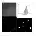 Fig. 07 - Metal induced nanocrystallization of amorphous semiconductor quantum dots