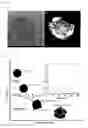 Fig. 12 - Metal induced nanocrystallization of amorphous semiconductor quantum dots