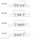 Fig. 19 - Low-noise flip-chip packages and flip chips thereof