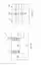 Fig. 04 - Semiconductor device and fabricating the same