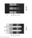 Fig. 03 - Split-gate flash memory cell with improved scaling using enhanced lateral control gate to floating gate coupling