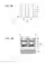 Fig. 07 - MEMORY DEVICE AND METHOD FOR MANUFACTURING THE SAME