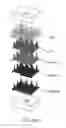 Fig. 77 - Methods for Manufacturing Three-Dimensional Metamaterial Devices with Photovoltaic Bristles