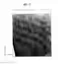 Fig. 32 - Nitride semiconductor