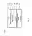 Fig. 02 - P-type doping layers for use with light emitting devices