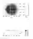 Fig. 14 - Light emitting device package