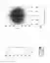 Fig. 17 - Light emitting device package