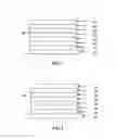 Fig. 02 - Organic light emitting devices