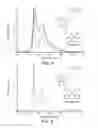 Fig. 04 - Metal-assisted delayed fluorescent emitters containing tridentate ligands