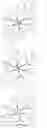 Fig. 31 - Metal-assisted delayed fluorescent emitters containing tridentate ligands