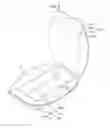 Fig. 03 - Secondary battery having curved pouch