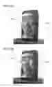 Fig. 13 - Electronic device and glasses-type device including secondary battery