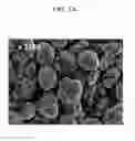 Fig. 05 - Positive active material for rechargeable lithium battery, method of preparing same, and rechargeable lithium battery including same