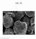 Fig. 06 - Positive active material for rechargeable lithium battery, method of preparing same, and rechargeable lithium battery including same