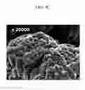 Fig. 07 - Positive active material for rechargeable lithium battery, method of preparing same, and rechargeable lithium battery including same