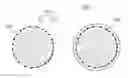 Fig. 01 - Negative active material, lithium battery including the negative active material, and method of preparing the negative active material