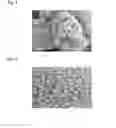 Fig. 03 - CATHODE ACTIVE MATERIAL