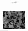 Fig. 04 - Positive active material for rechargeable lithium battery, method of preparing same, and rechargeable lithium battery including same