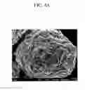 Fig. 07 - Positive active material for rechargeable lithium battery, method of preparing same, and rechargeable lithium battery including same