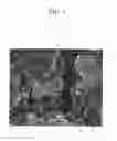 Fig. 02 - Positive electrode composition for rechargeable lithium battery, and positive electrode for rechargeable lithium battery and rechargeable lithium battery including the same
