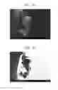 Fig. 06 - Composite for lithium air battery, method of preparing the composite, and lithium air battery employing positive electrode including the composite