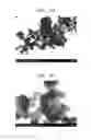 Fig. 10 - Composite for lithium air battery, method of preparing the composite, and lithium air battery employing positive electrode including the composite
