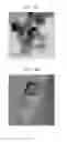 Fig. 11 - Composite for lithium air battery, method of preparing the composite, and lithium air battery employing positive electrode including the composite