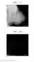 Fig. 12 - Composite for lithium air battery, method of preparing the composite, and lithium air battery employing positive electrode including the composite