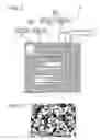Fig. 03 - Battery, electrolyte layer, battery pack, electronic apparatus, electric vehicle, power storage device, and electric power system