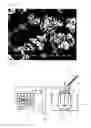 Fig. 03 - GLASS PARTICLES