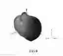 Fig. 07 - Antenna device