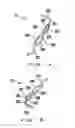 Fig. 02 - Contact having two contact portions with their central lines in one plane