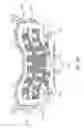 Fig. 08 - Linearly deployed actuators
