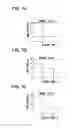 Fig. 08 - Control apparatus of rotary machine