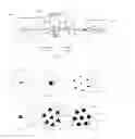 Fig. 02 - Distributed spatial mode processing for spatial-mode multiplexed communication systems