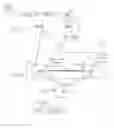 Fig. 01 - Processing of multicast traffic in computer networks