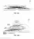 Fig. 04 - INCREMENTAL HIGH RADIX NETWORK SCALING