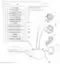 Fig. 01 - Facilitating users to obfuscate user credentials in credential responses for user authentication