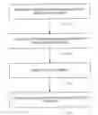 Fig. 01 - Server and/or client device authentication